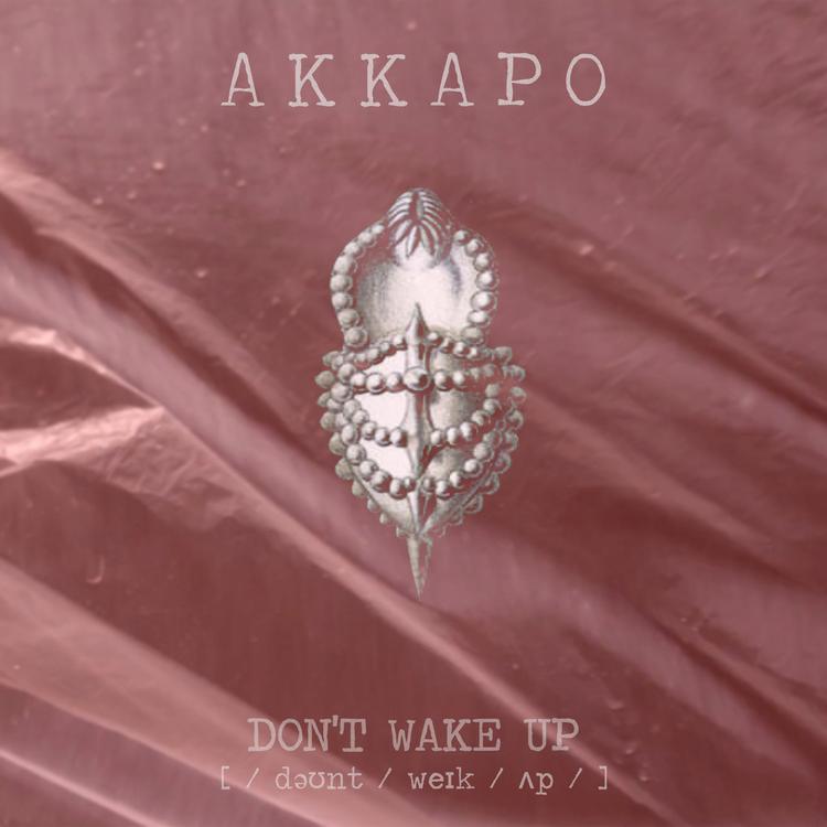 AKKAPO's avatar image