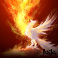 Lloga's avatar cover