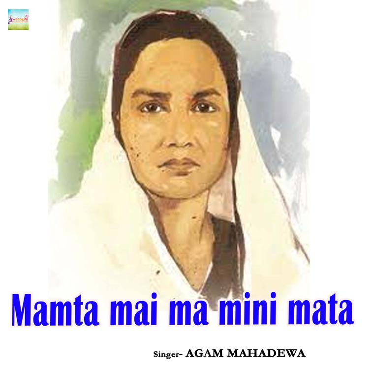 Agam mahadewa's avatar image