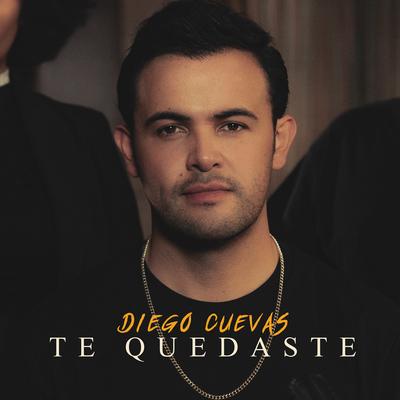 Te Quedaste By Diego Cuevas's cover