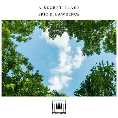 A Secret Place By Eric D. Lawrence's cover