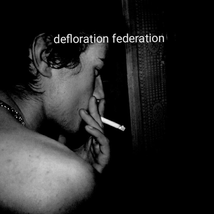 defloration federation's avatar image