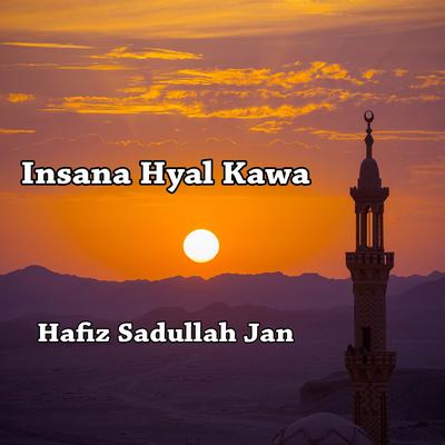 Insana Hyal Kawa's cover
