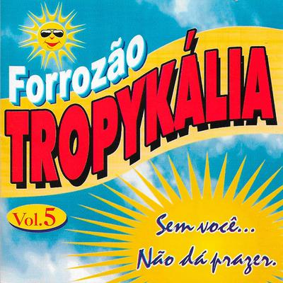 Não Dá Prazer By Forrozão Tropykalia's cover