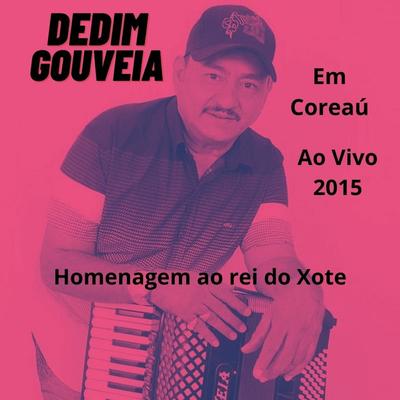 Xote das meninas - DEDIM GOUVEIA By Dedim Gouveia's cover