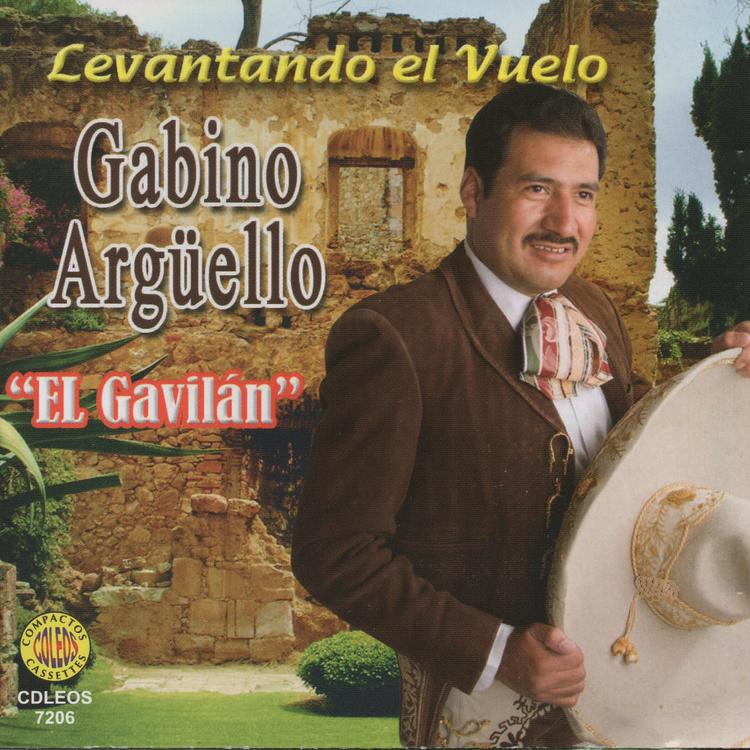 Gabino Argüello "El Gavilan"'s avatar image