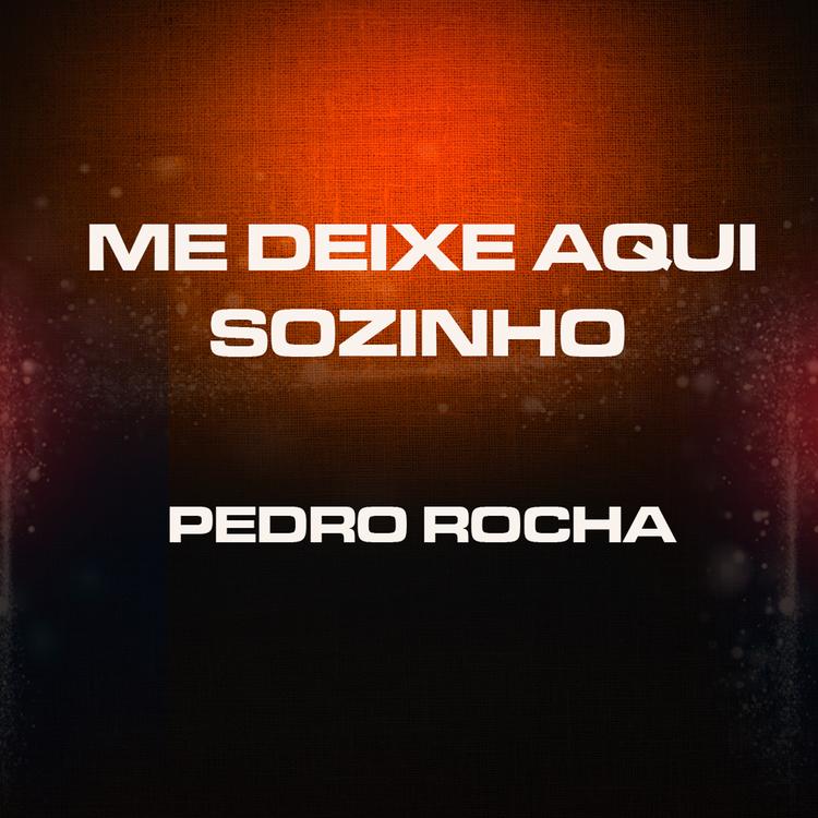 Pedro Roch@'s avatar image