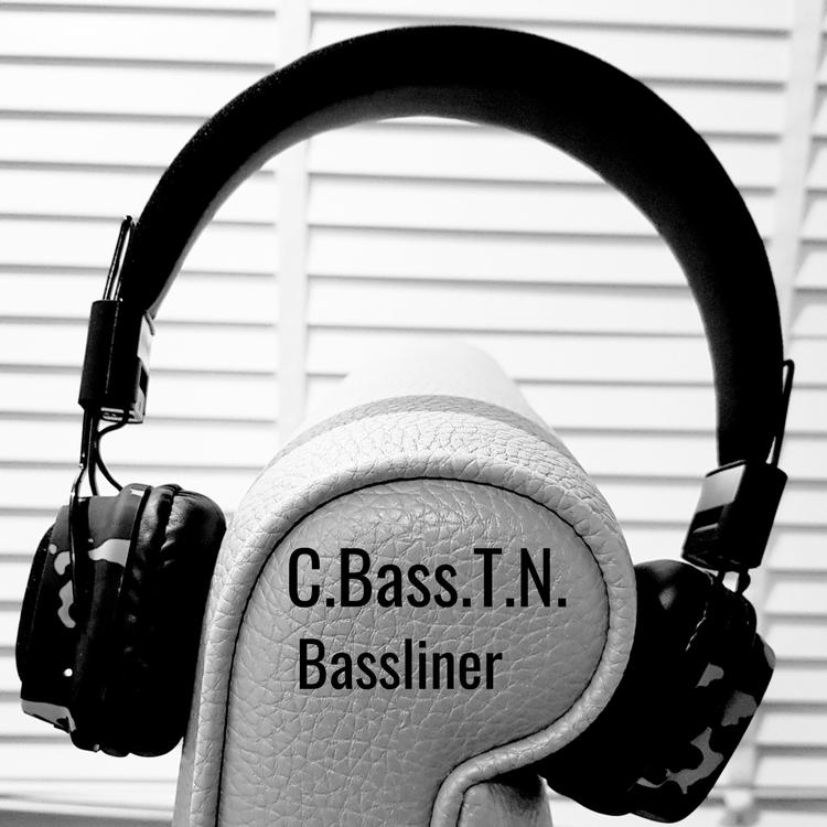 Bassliner's avatar image