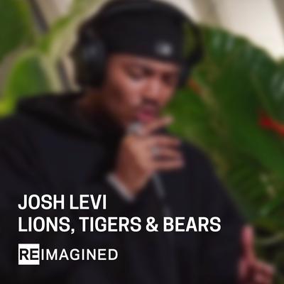 Lions, Tigers & Bears (Reimagined)'s cover