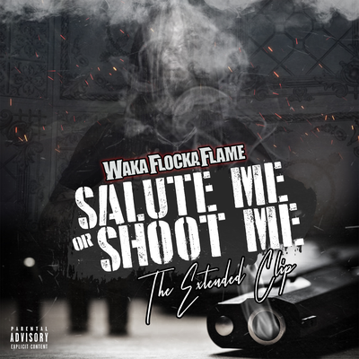 Salute Me or Shoot Me: The Extended Clip's cover