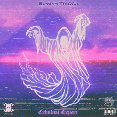 ROB ME A BITCH By Bumpin Trigga's cover