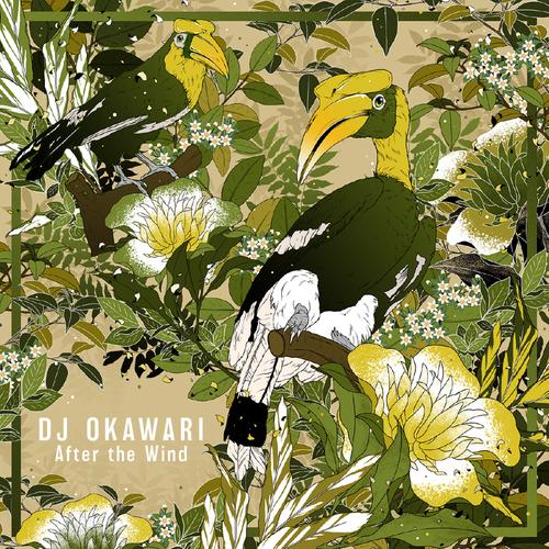 After the Wind Official Tiktok Music | album by DJ Okawari