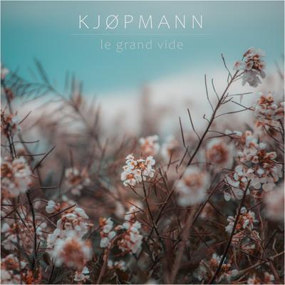 le grand vide By Kjøpmann's cover