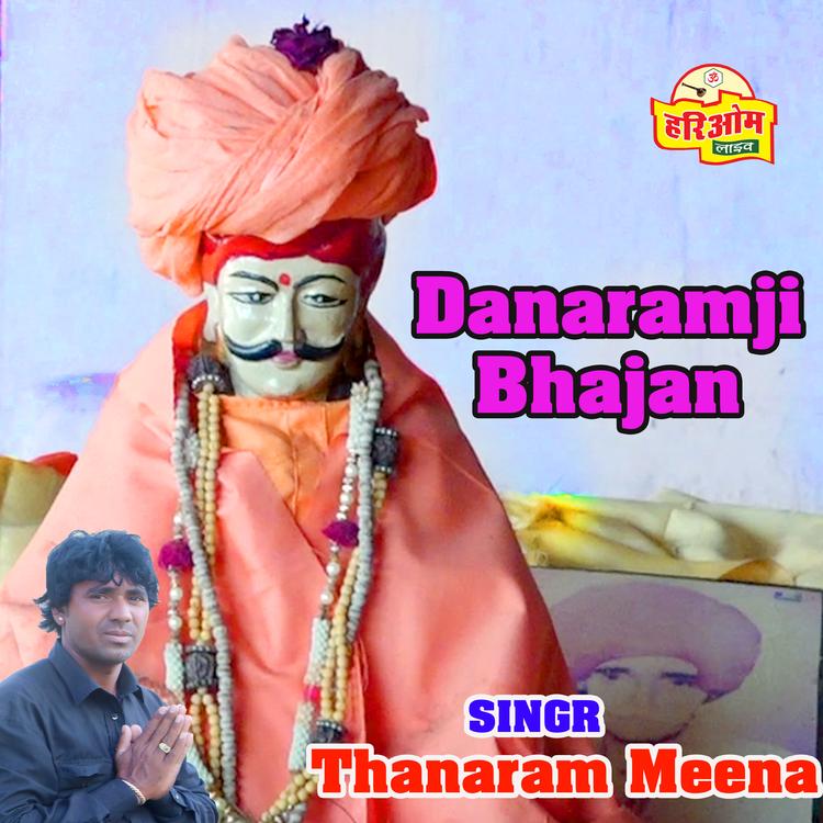 Thanaram Meena's avatar image