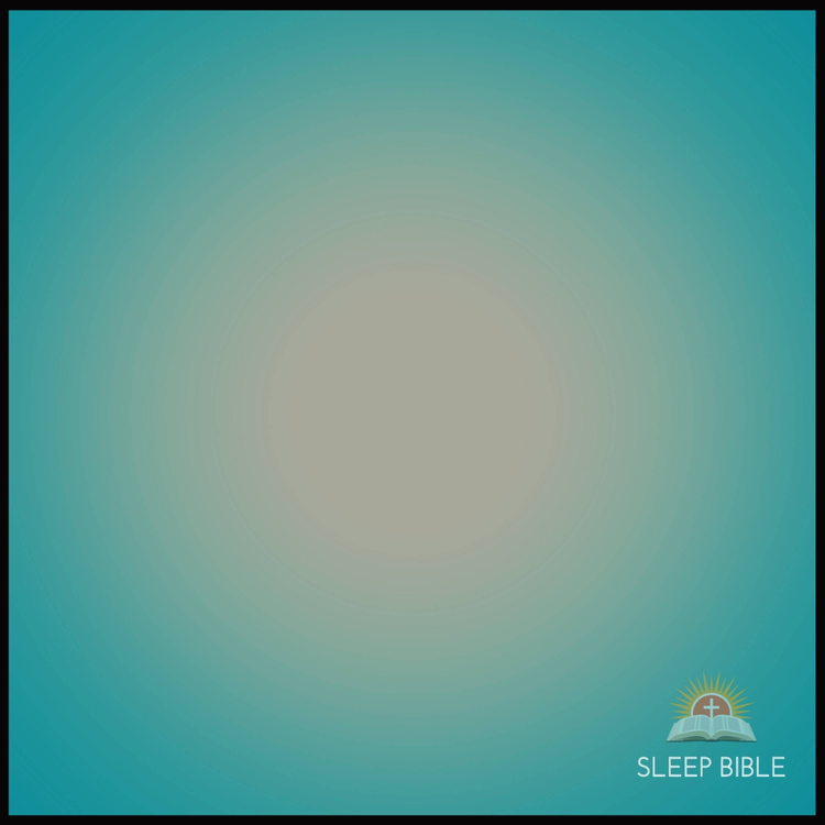 Sleep Bible's avatar image