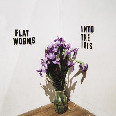 Into the Iris By Flat Worms's cover