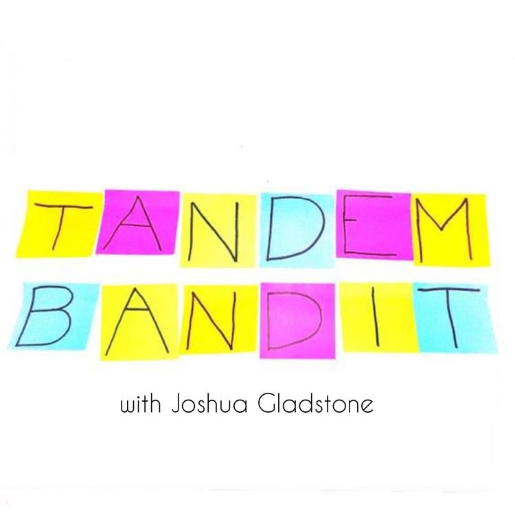 Tandem Bandit's avatar image