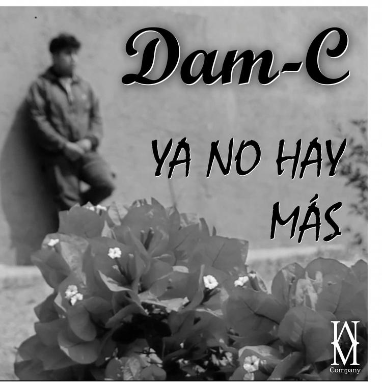 Dam-C's avatar image