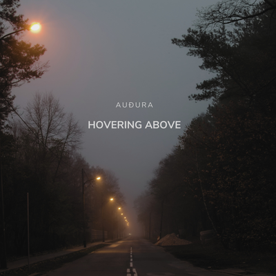 Hovering Above By Auðura's cover