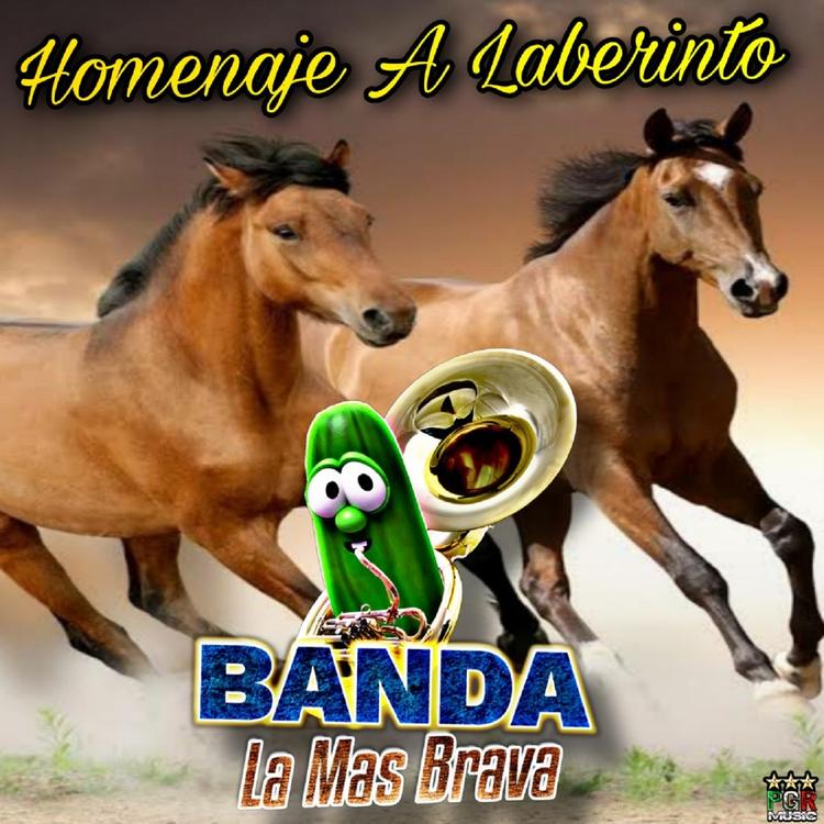 Banda La Mas Brava's avatar image