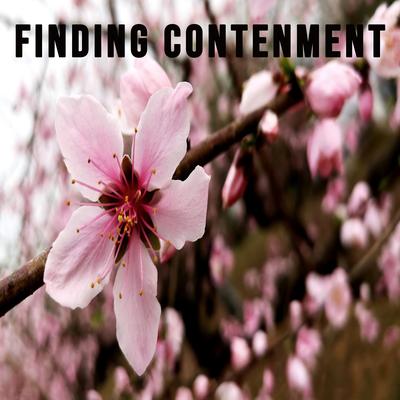 Finding Contenment's cover