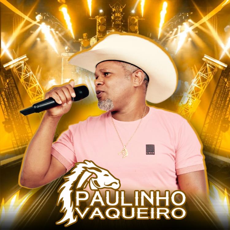 Paulinho Vaqueiro's avatar image