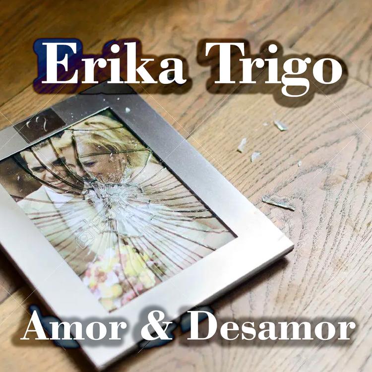 Erika Trigo's avatar image