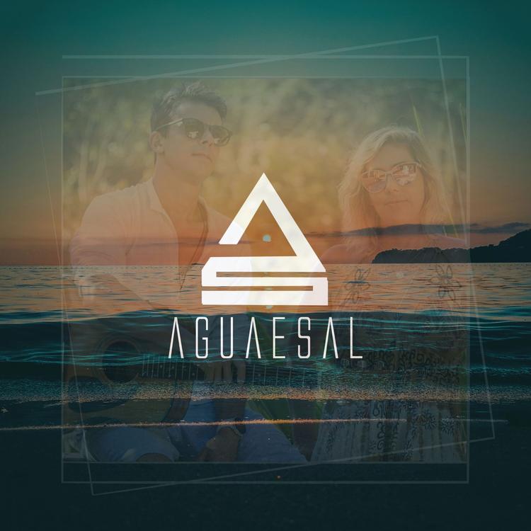 Aguaesal's avatar image