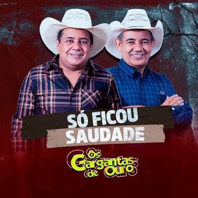 Só Ficou Saudade (Ao Vivo)'s cover