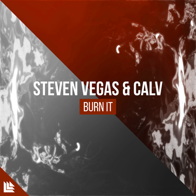 Burn It By Steven Vegas, CALV, Revealed Recordings's cover