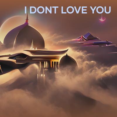 I Dont Love You's cover