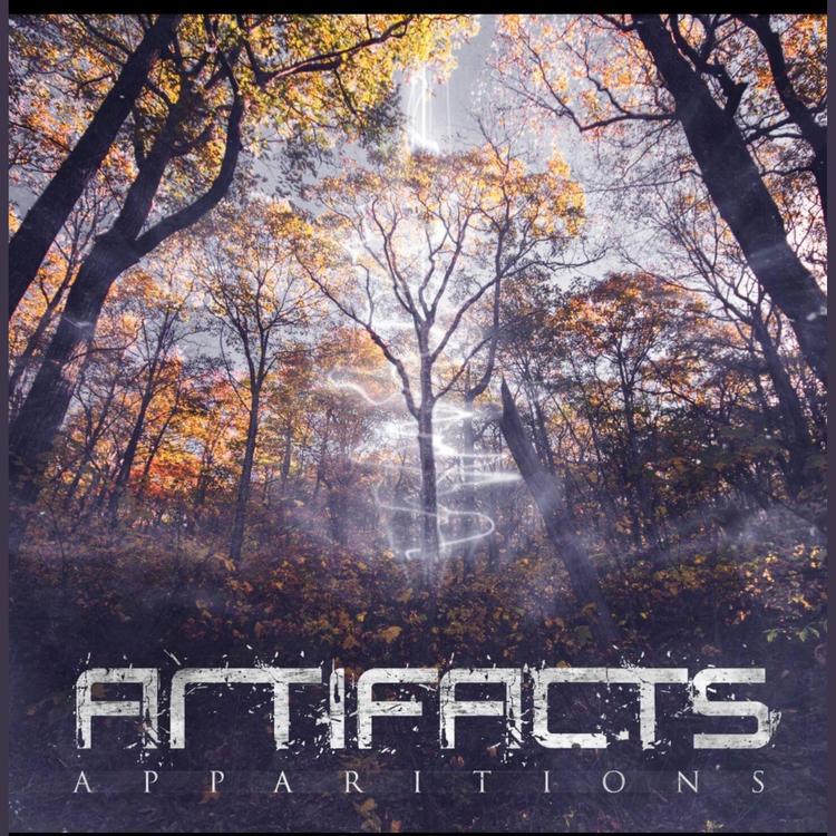 Artifacts's avatar image