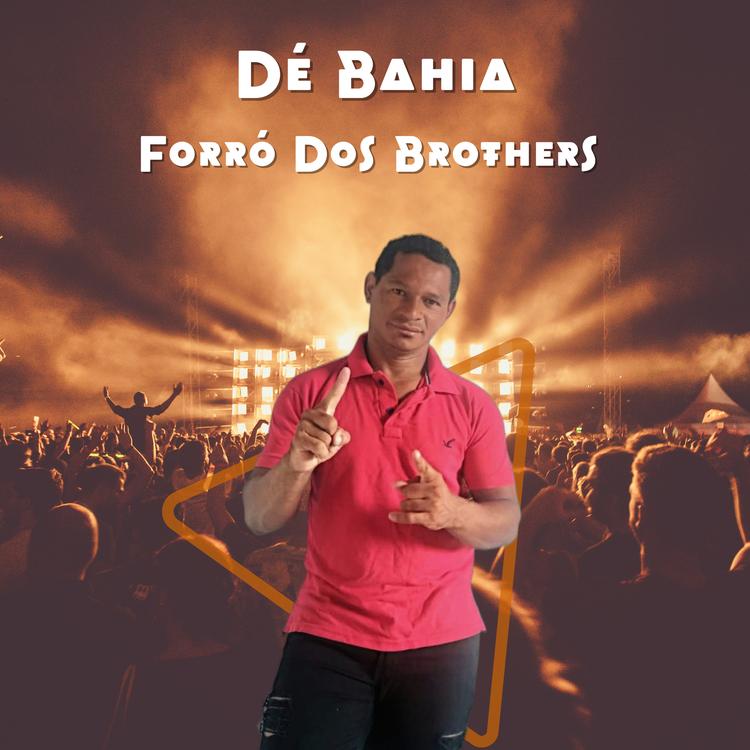 Dé Bahia Forró dos Brothers's avatar image
