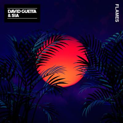 Flames By David Guetta, Sia's cover