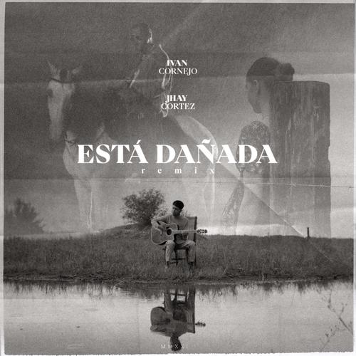 Está Dañada (Remix)'s cover