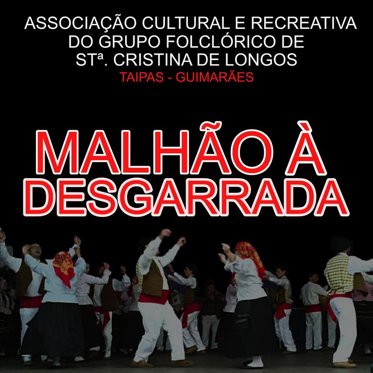 Associação Cultural E Recreativa Do Grupo Folclórico De Stº Cristina De Longos's avatar image