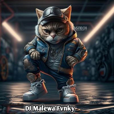 DJ Malewa Fvnky's cover
