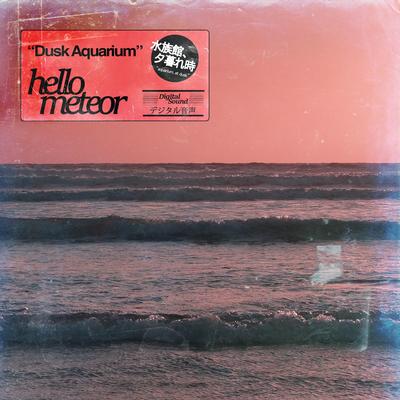 Rose Water Tides By Hello Meteor's cover