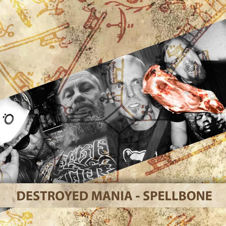 Destroyed Mania's avatar image