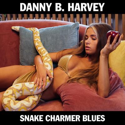 Danny B. Harvey's cover