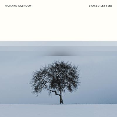 Erased Letters By Richard LaBrooy's cover