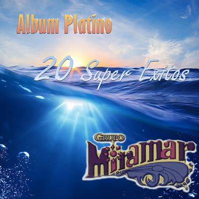 Álbum de Platino 20 Super Éxitos's cover