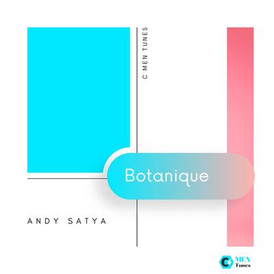 Andy Satya's cover