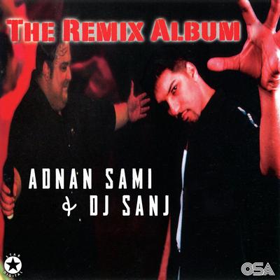 The Remix Album's cover