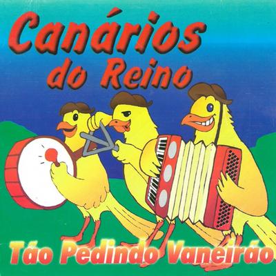 Tão Pedindo Vaneirão's cover