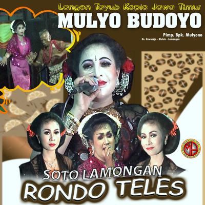 TAYUB MULYO BUDOYO VOL.2's cover