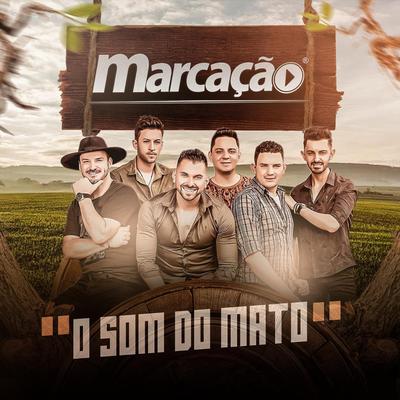 A Volta da Morena By Grupo Marcação's cover