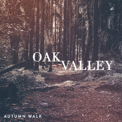 Autumn Walk By Oak Valley's cover