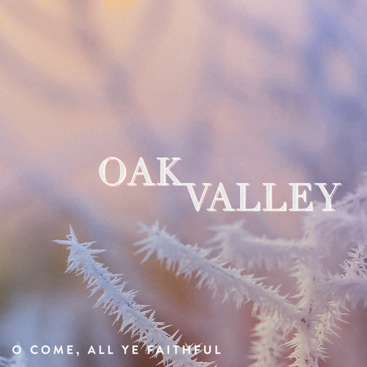 Oak Valley's avatar image