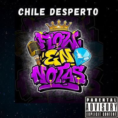 Chile Desperto's cover